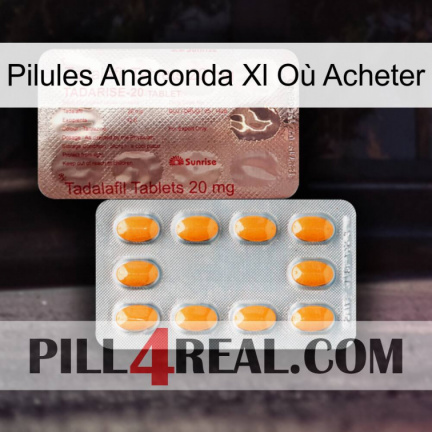 Pilules Anaconda Xl Où Acheter new13